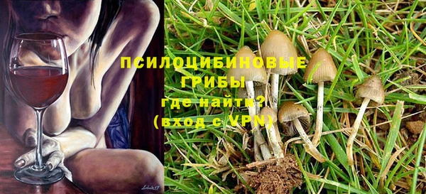 мяу мяу мука Баксан