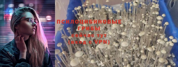 мяу мяу мука Баксан
