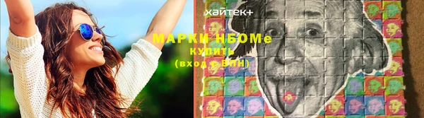 мяу мяу мука Баксан