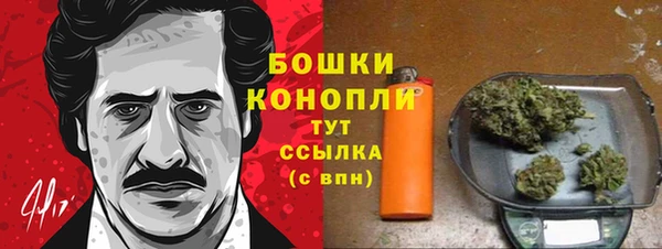 молекула духа Покачи